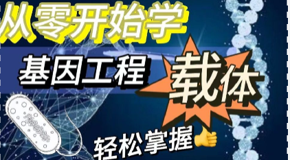 从零开始学基因工程：揭秘&ldquo;载体&rdquo;，让小白也能轻松掌握