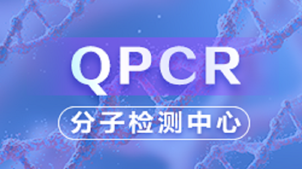 QPCR（实操篇）