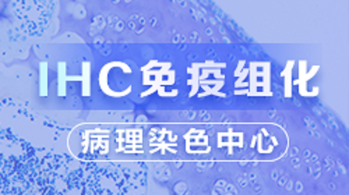 IHC(理论篇）