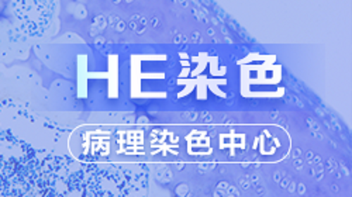 HE染色（理论篇）