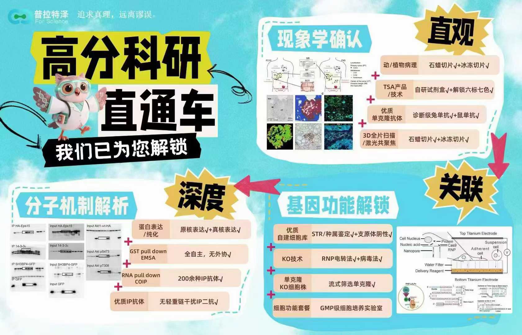 节后实验培训班排班出炉~国庆后培训不停歇！