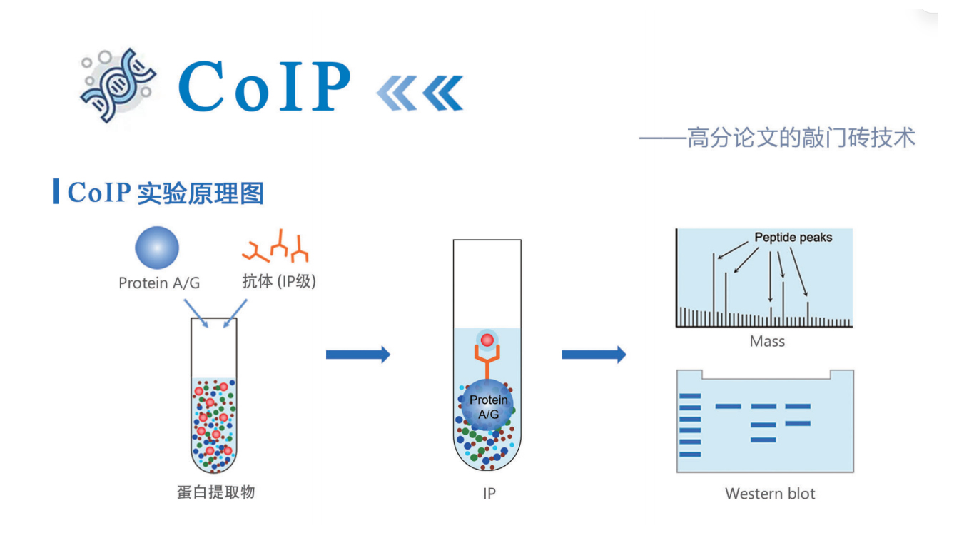 COIP COIP