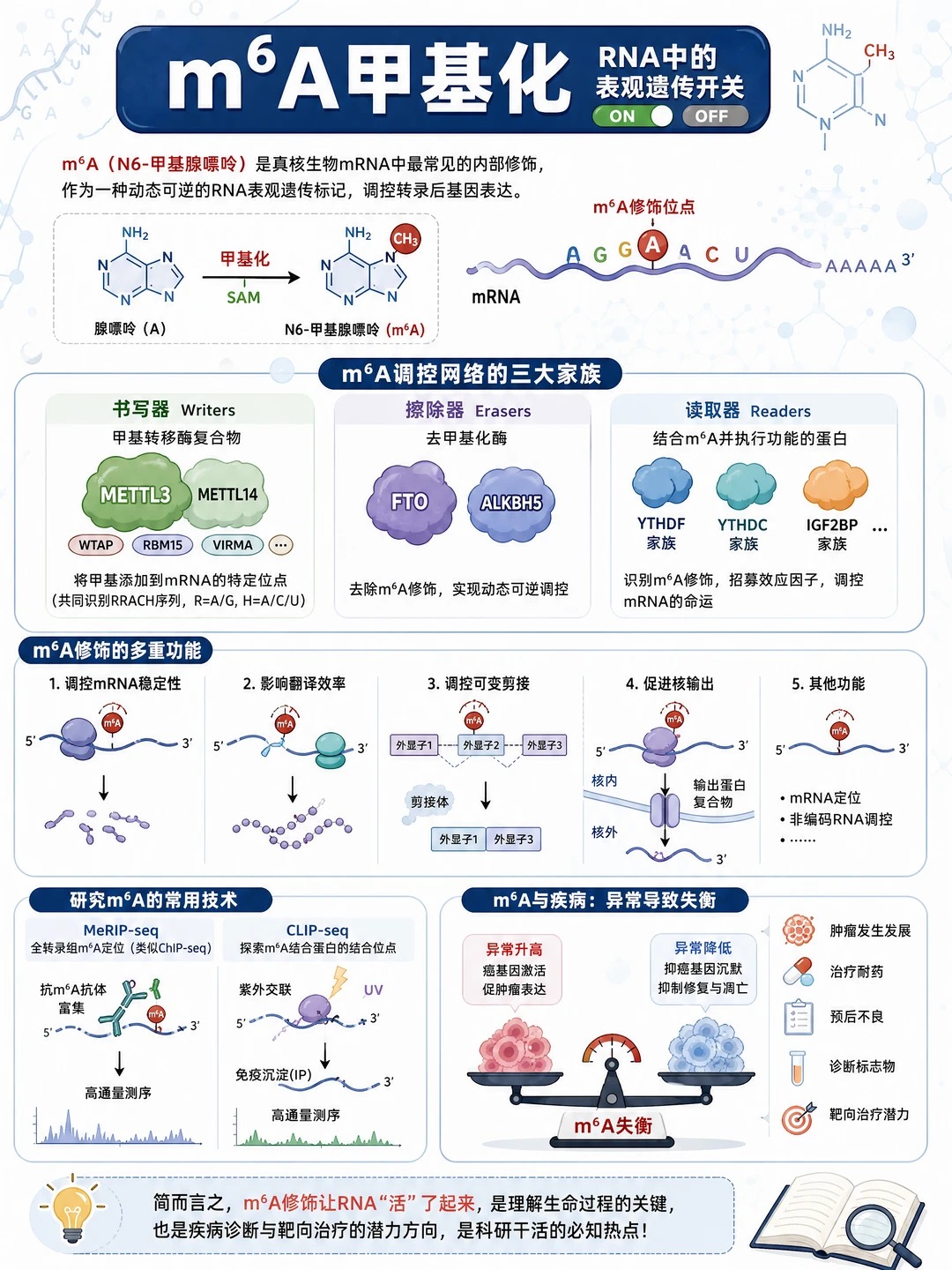 细胞的“RNA密码”｜RNA甲基化如何调控基因表达？怎么测？