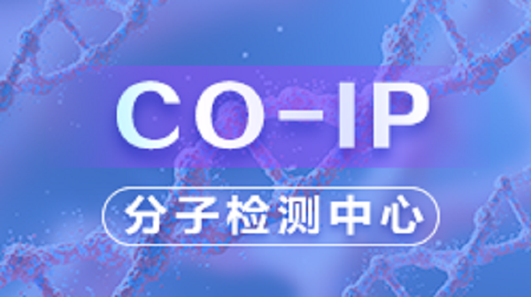 Co-IP实验（实操骗）