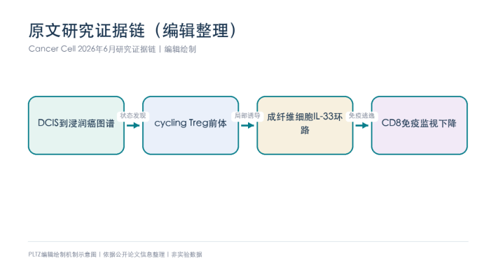 乳腺癌免疫逃逸从哪一步启动？Cancer Cell锁定cycling Treg前体