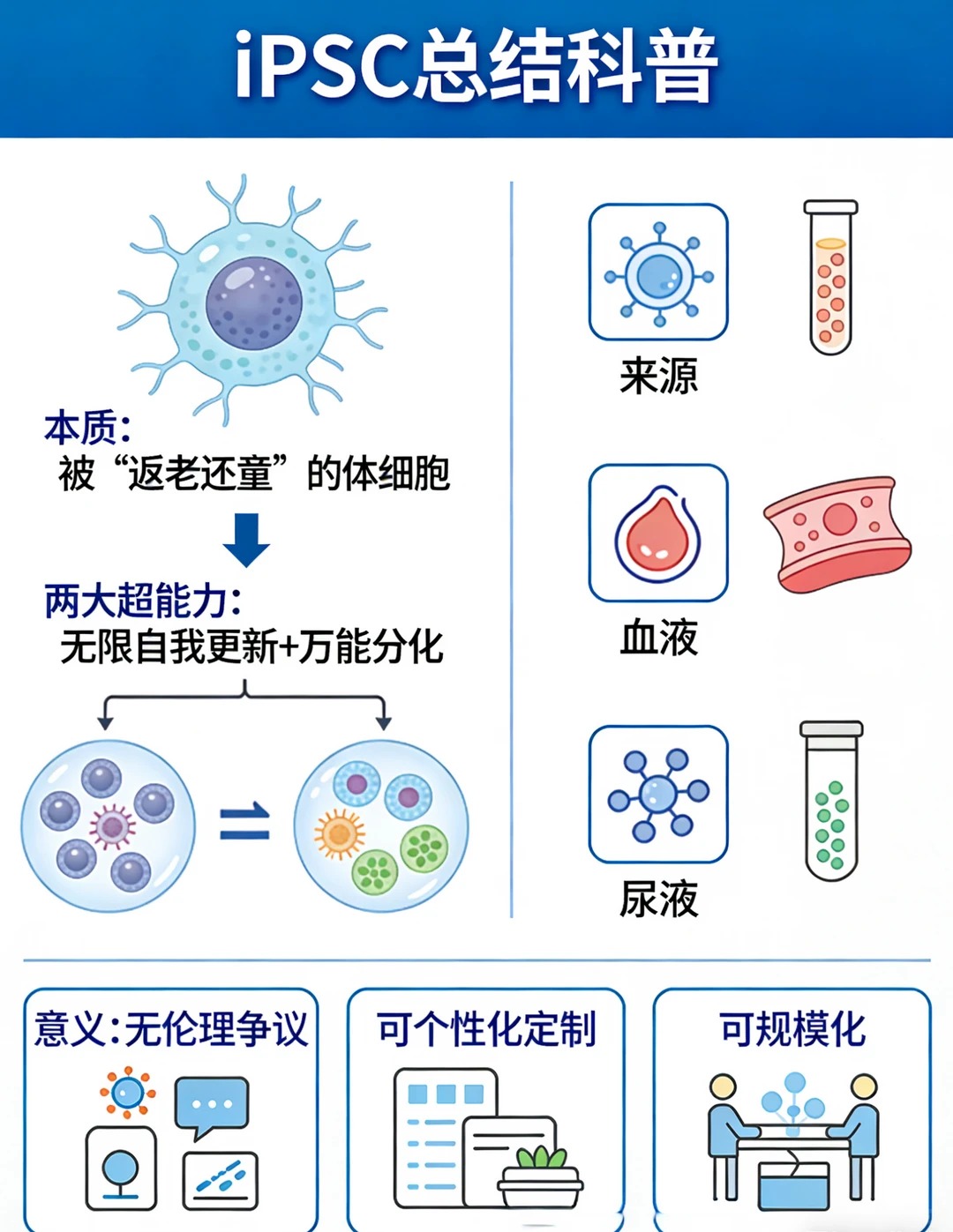  iPSC 构建流程，体细胞 “变身” 干细胞五大关键环节