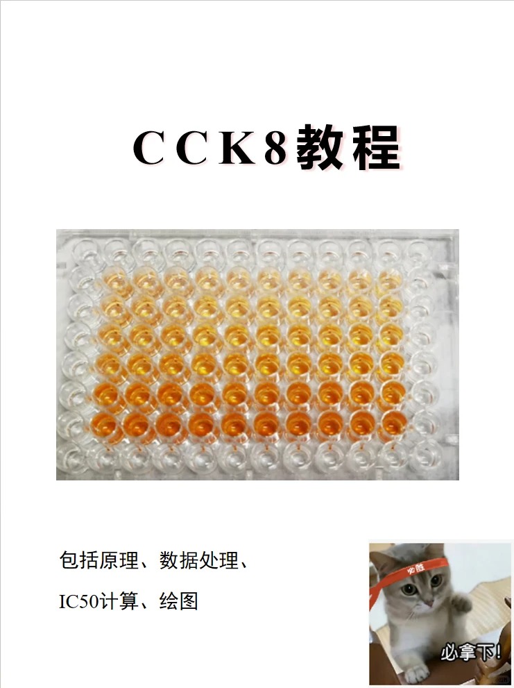 CCK-8 药物增殖实验完整实操流程｜细胞铺板→药液配制→给药要点汇总