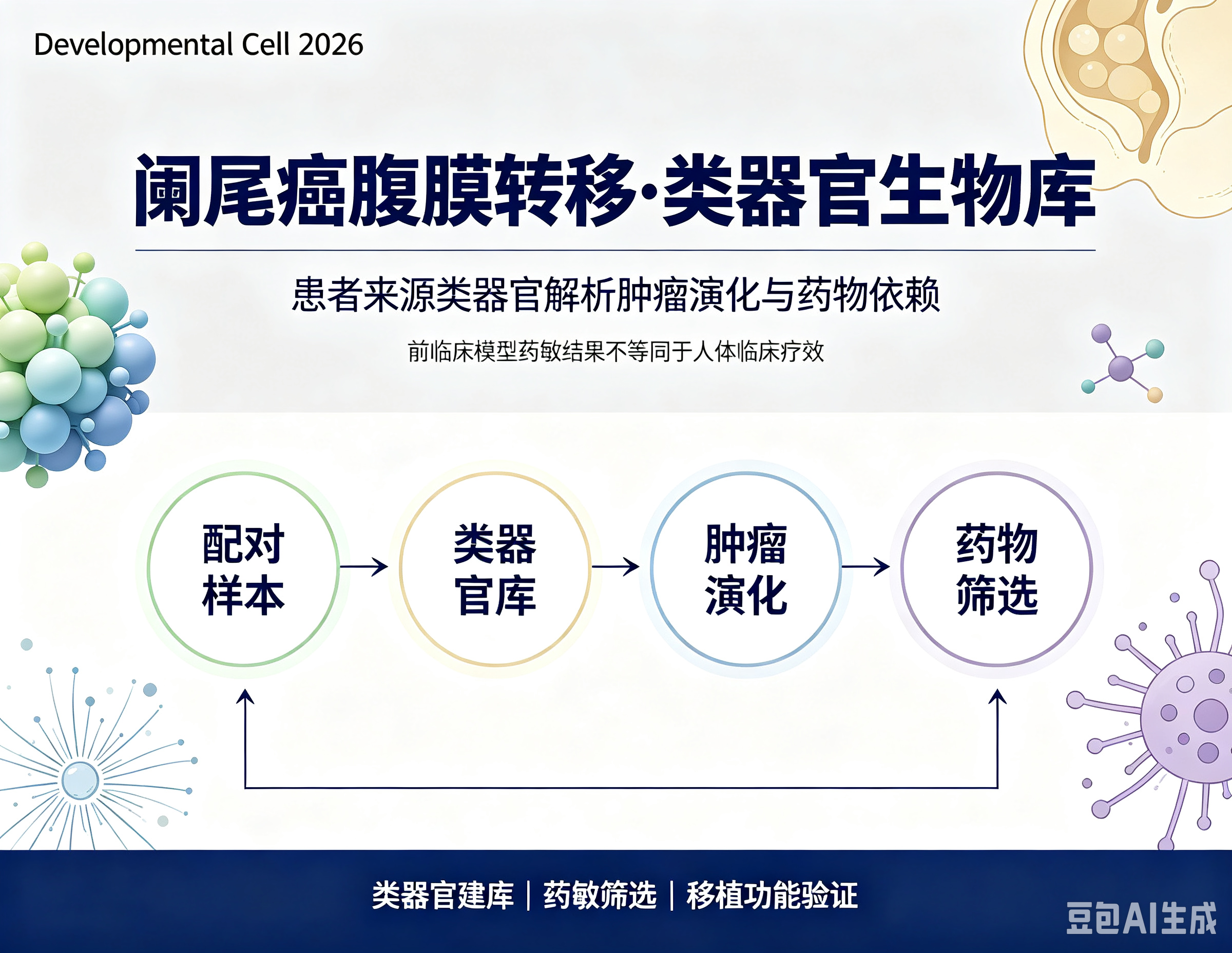 阑尾癌腹膜转移怎么做模型？Developmental Cell建成16例类器官生物库