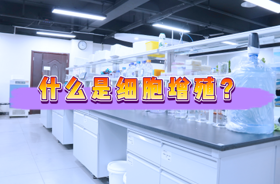 什么是细胞增殖？——细胞增殖检测外包