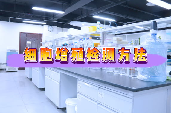 细胞增殖检测方法汇总【附视频教程】
