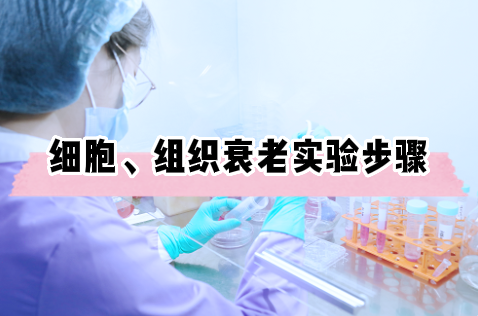 贴壁细胞、悬浮细胞、组织切片衰老实验操作步骤【简单好学】