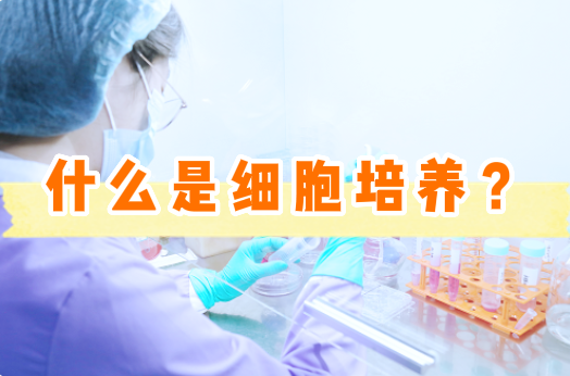 什么是细胞培养？新手基础介绍！