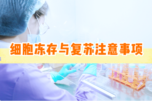 细胞冷冻与复苏操作注意事项【细胞实验外包】