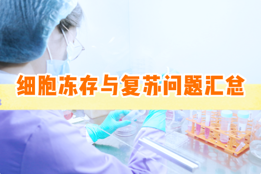 细胞冻存与复苏问题汇总大全【细胞实验外包】