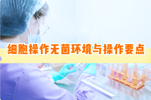 细胞操作的无菌环境与操作要点【细胞实验外包】