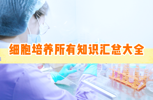 细胞培养所有知识汇总大全【超详细】