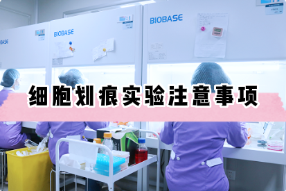 细胞划痕实验操作注意事项【细胞实验外包】