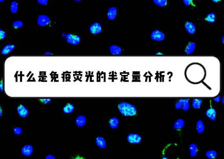 什么是免疫荧光的半定量分析？