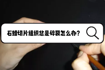 做石蜡切片时组织总是碎裂怎么办？如何避免？
