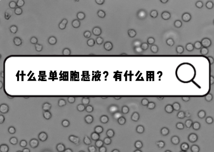 什么是单细胞悬液？有什么用？