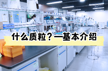 什么是质粒【质粒购买与抽取代做】