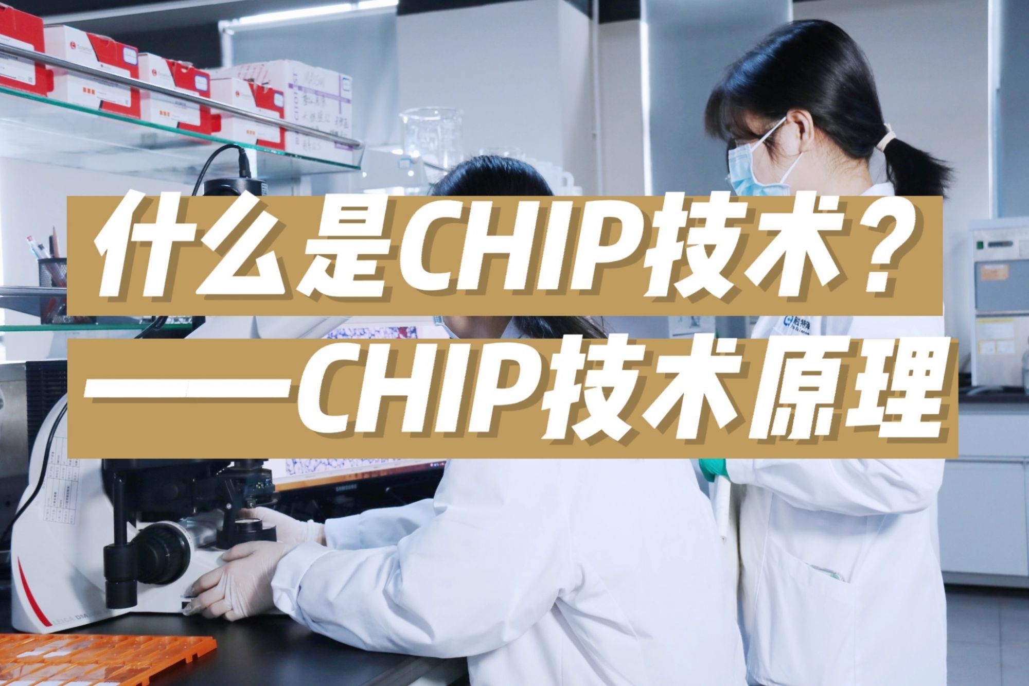   什么是CHIP技术？——CHIP技术原理