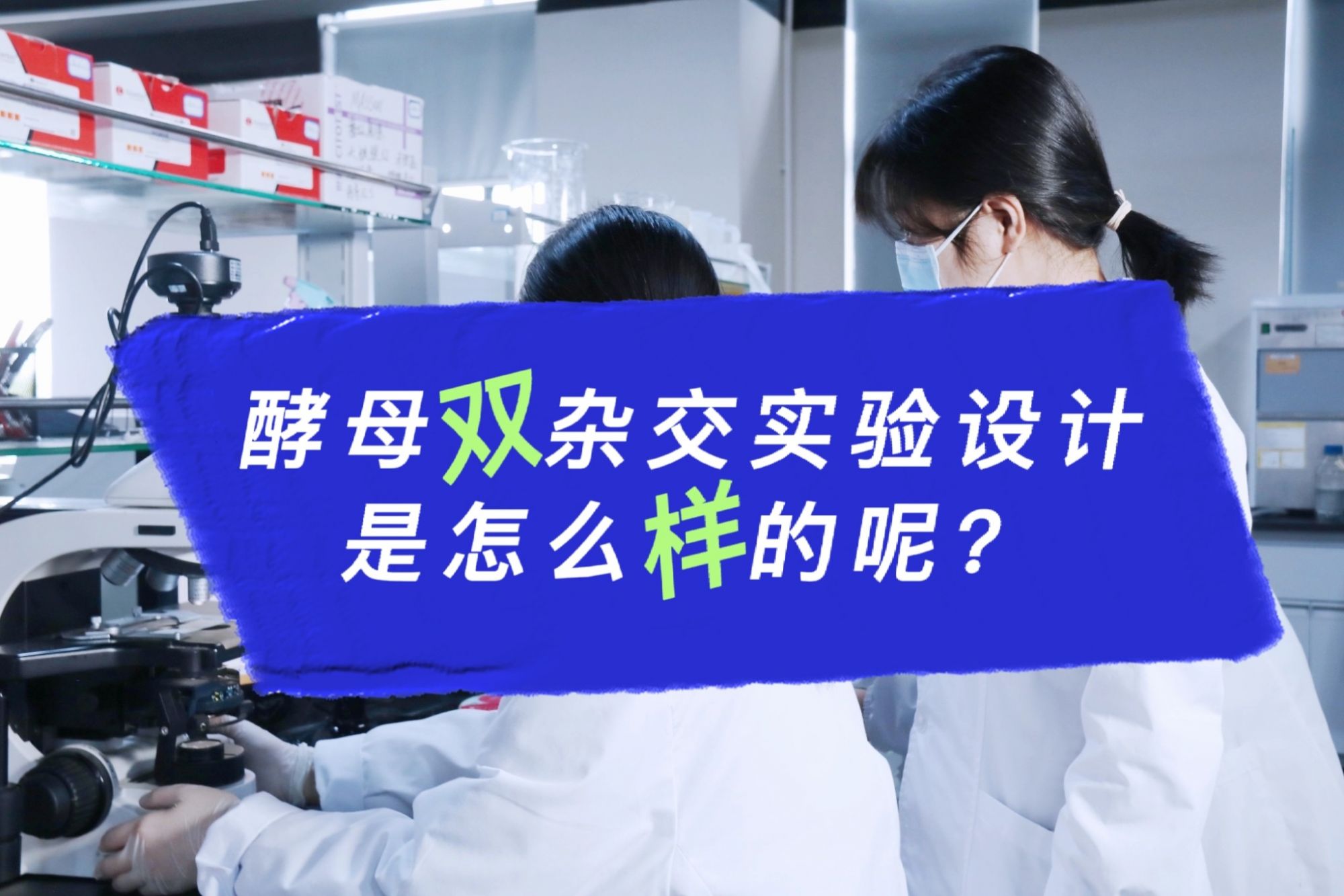  酵母双杂交的实验设计是怎么样的？