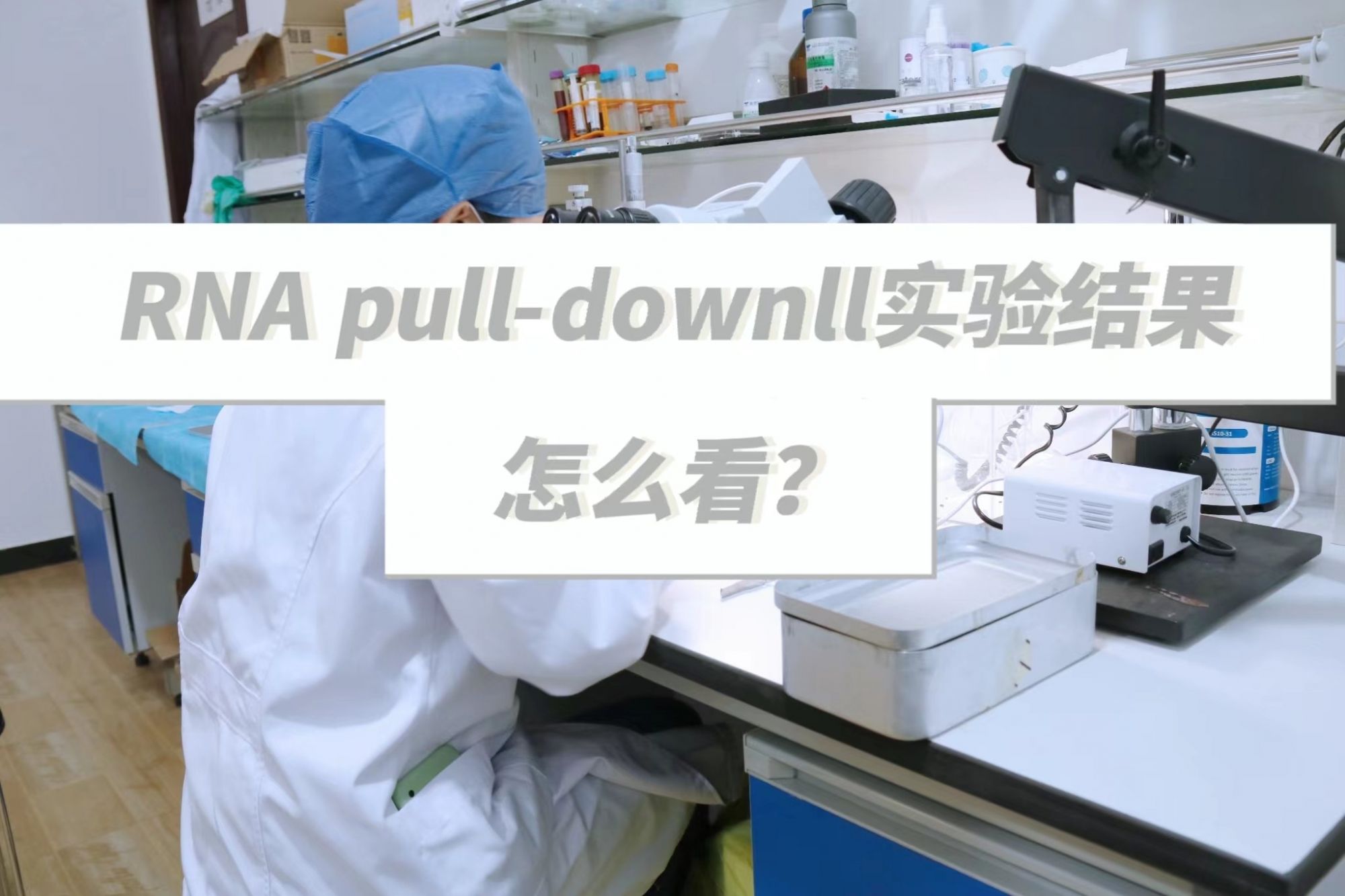  RNA pull-downll实验结果怎么看？