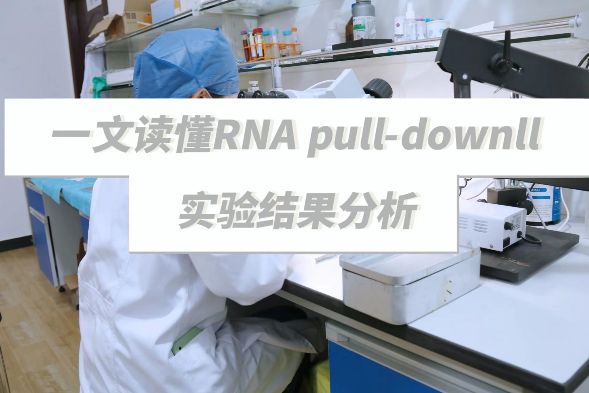 一文读懂RNA pull-downll实验结果分析