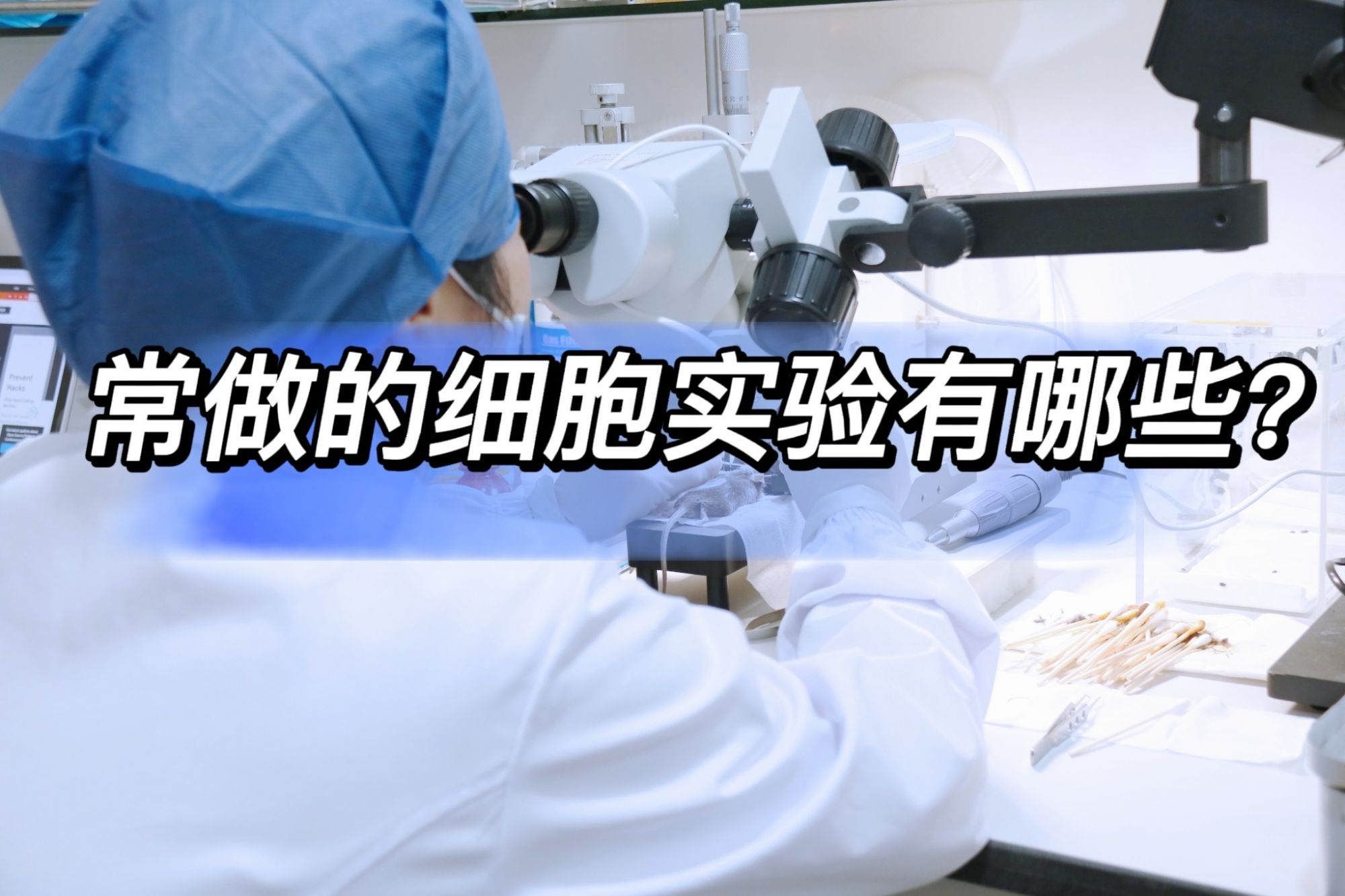 常做的细胞实验有哪些？