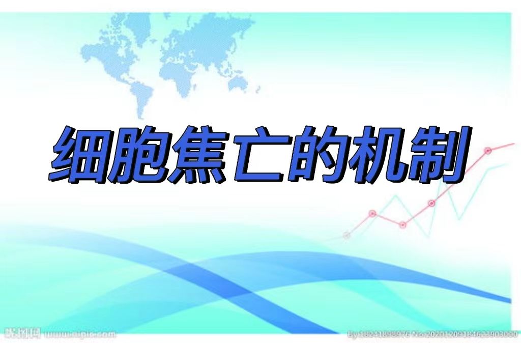 细胞焦亡的机制
