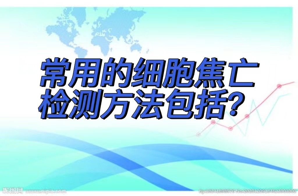   常用的细胞焦亡检测方法包括？