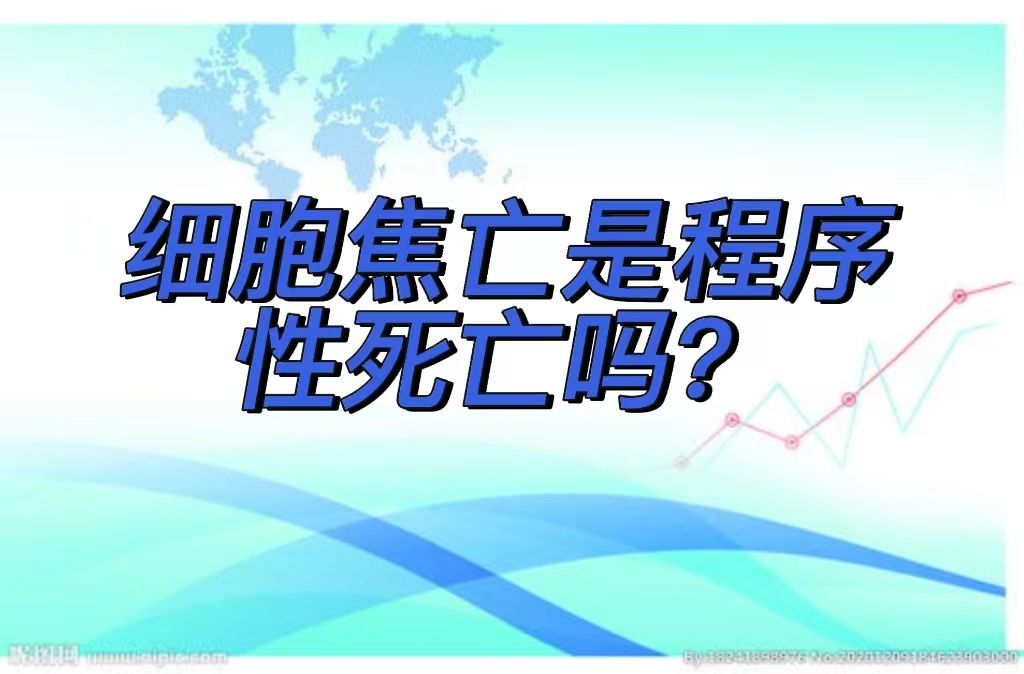  细胞焦亡是程序性死亡吗？