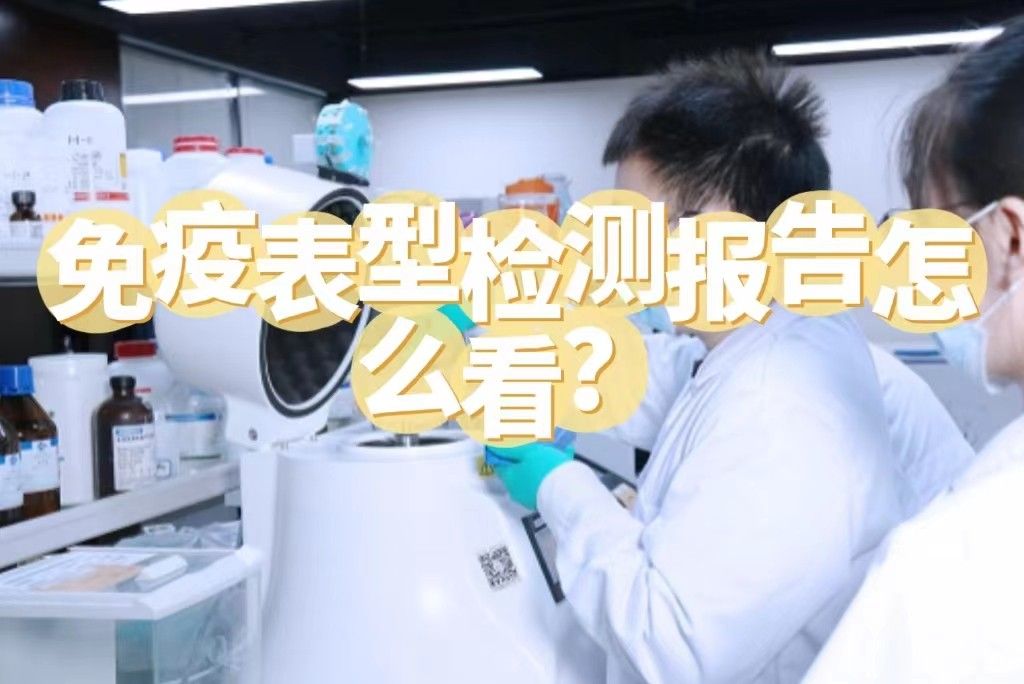 免疫表型检测报告怎么看？