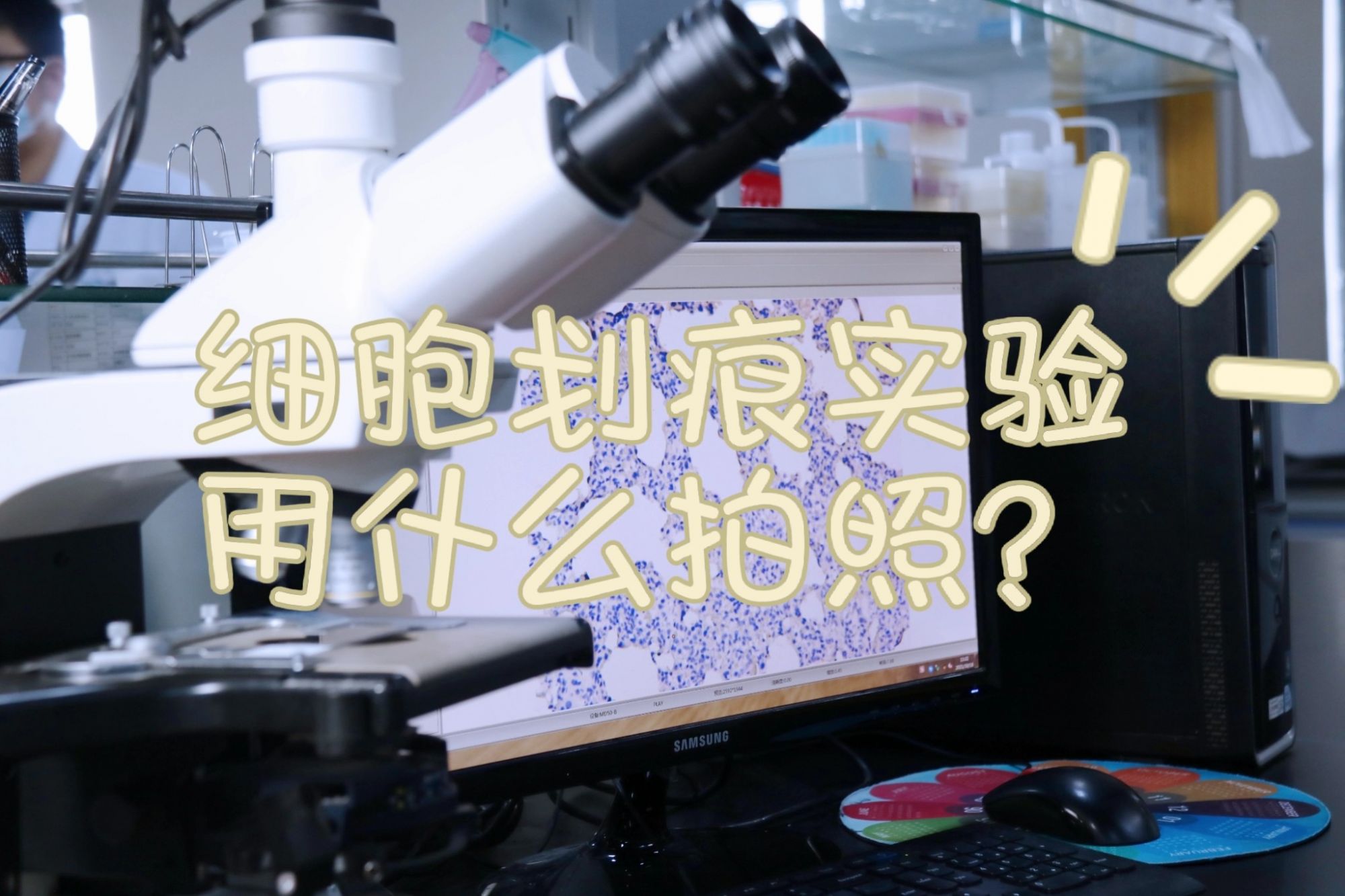 细胞划痕用什么拍照？