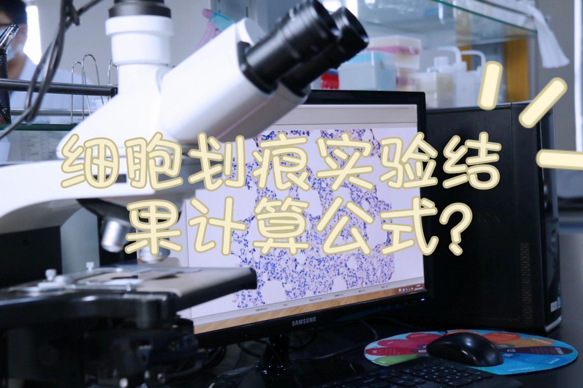 细胞划痕实验结果计算公式