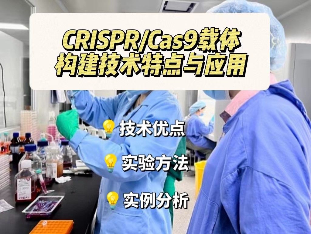 CRISPR/Cas9载体构建技术特点与应用【详细篇】