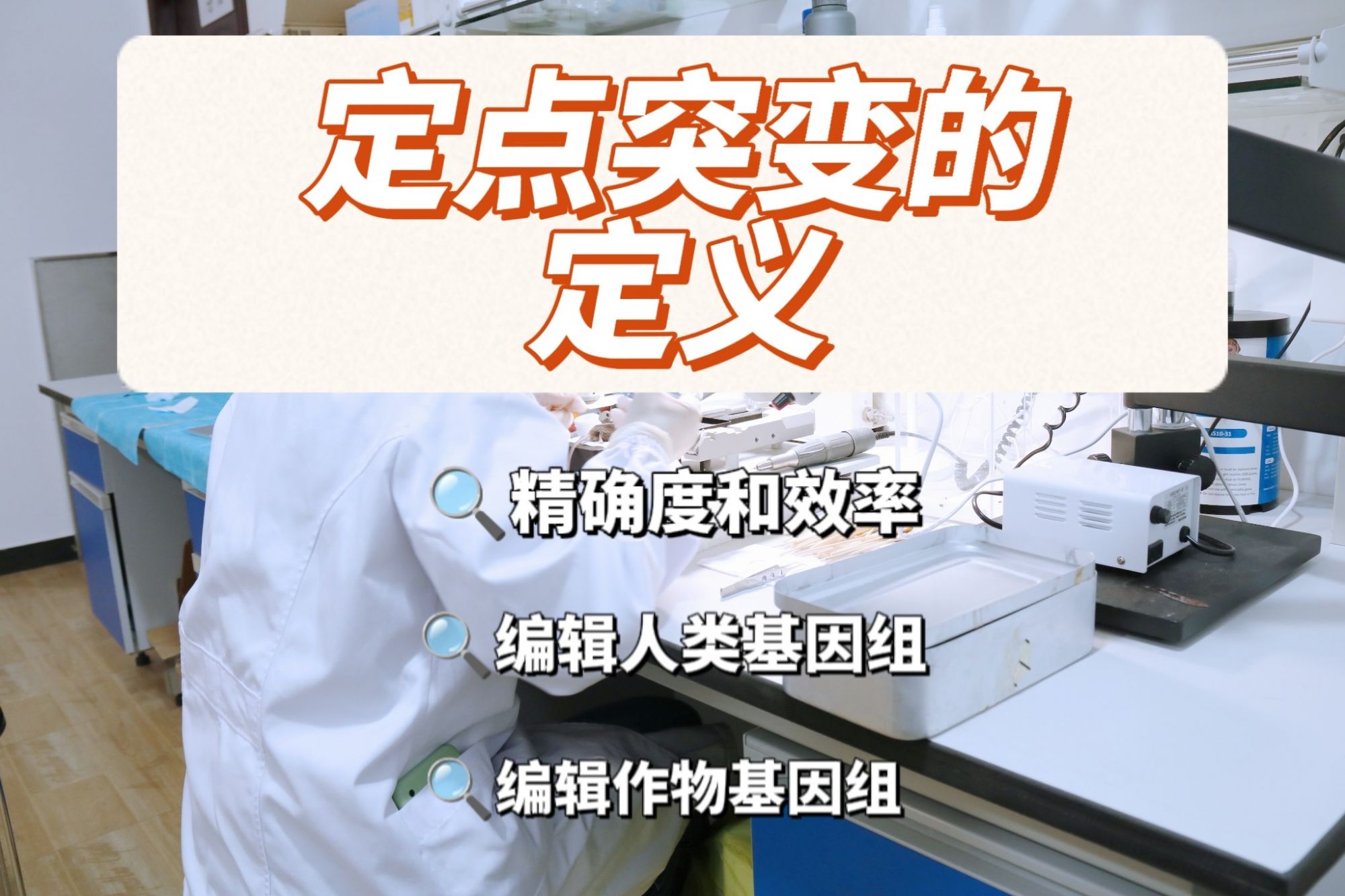 定点突变的定义