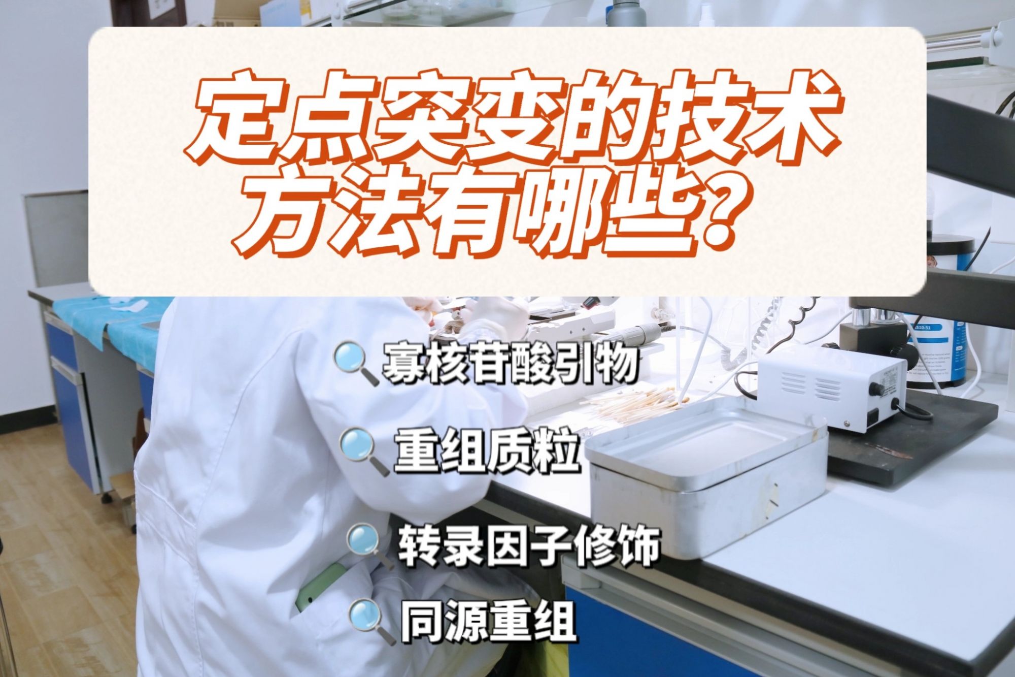 定点突变技术方法有哪些？了解这四种方法让你轻松应对