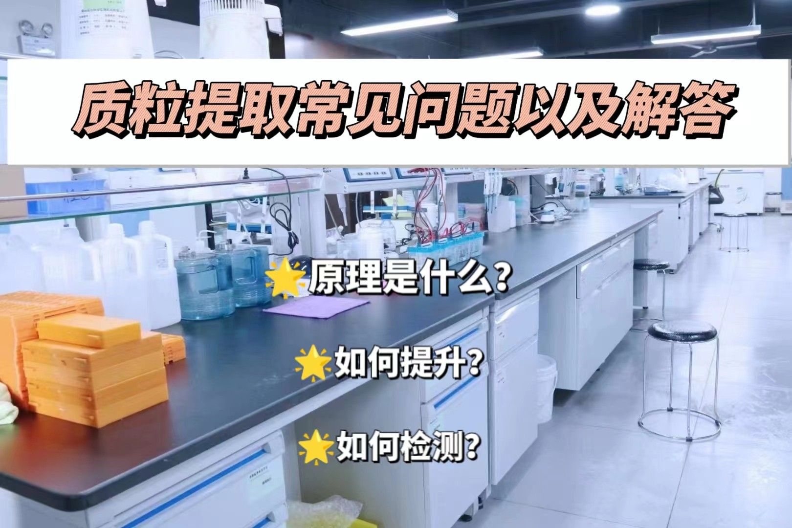 质粒提取常见问题以及解答