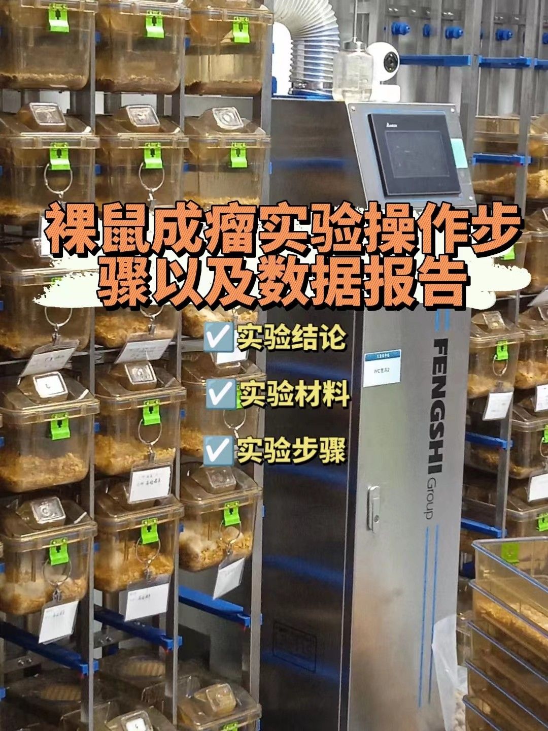 裸鼠成瘤实验操作步骤以及数据报告