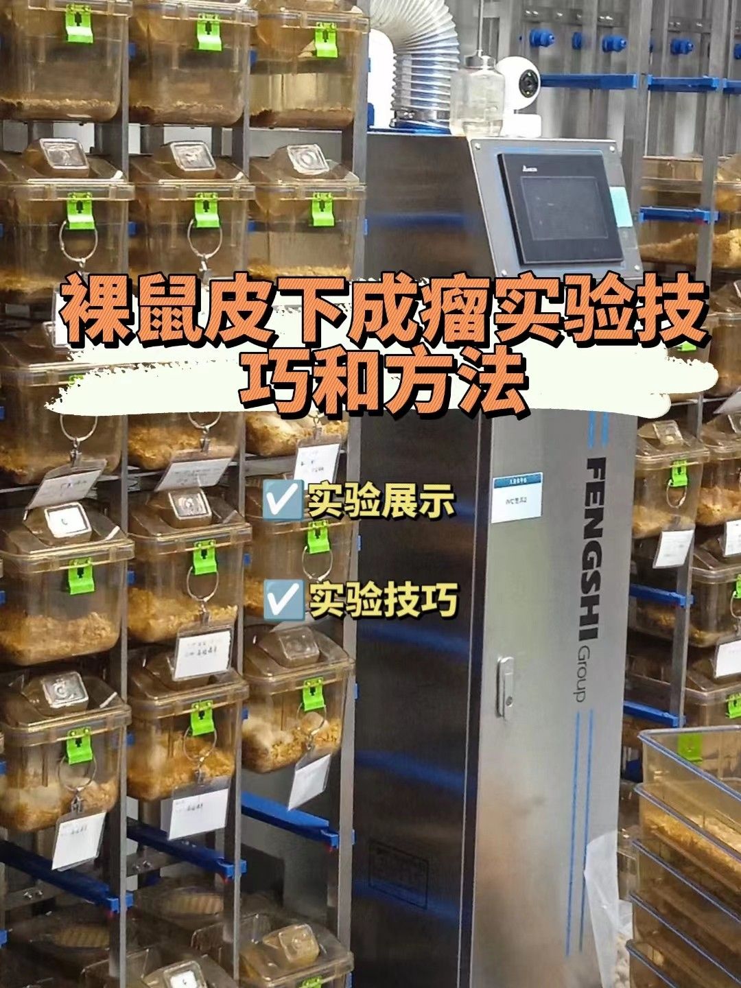 裸鼠皮下成瘤实验技巧和方法【小白学习】