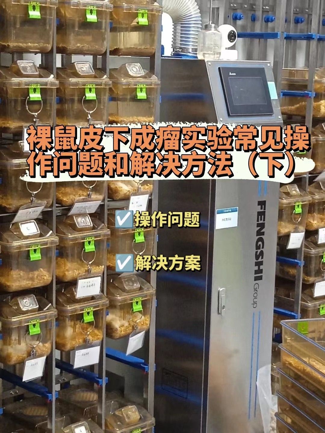 裸鼠皮下成瘤实验常见操作问题以及解决办法（下）