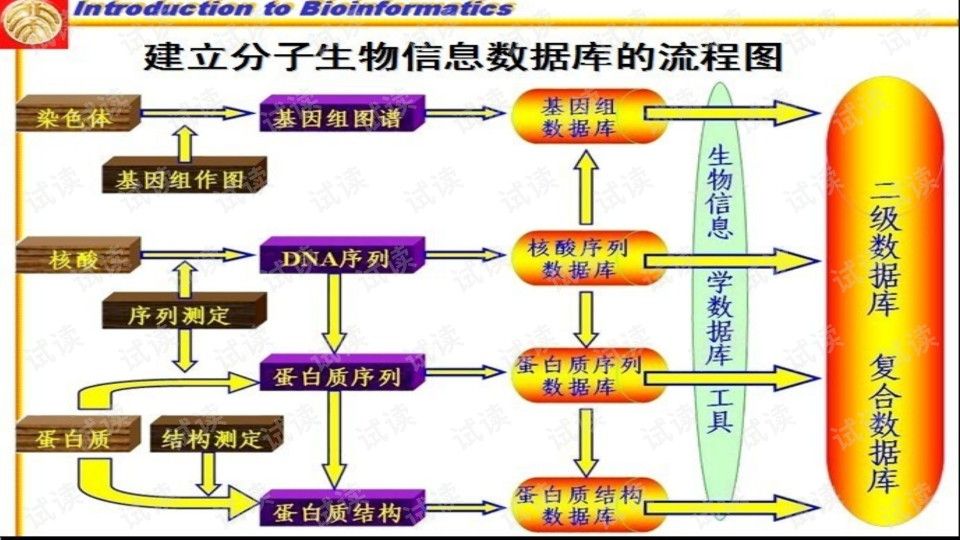 设计引物的原则