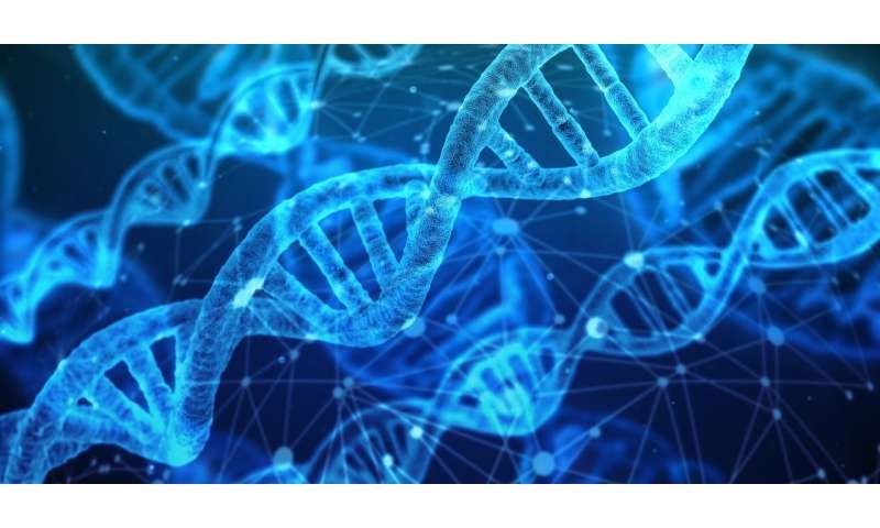 设计引物中有哪些小技巧？【科研干货】