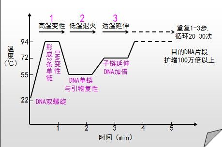 QPCR和PCR区别点和共同点是什么？