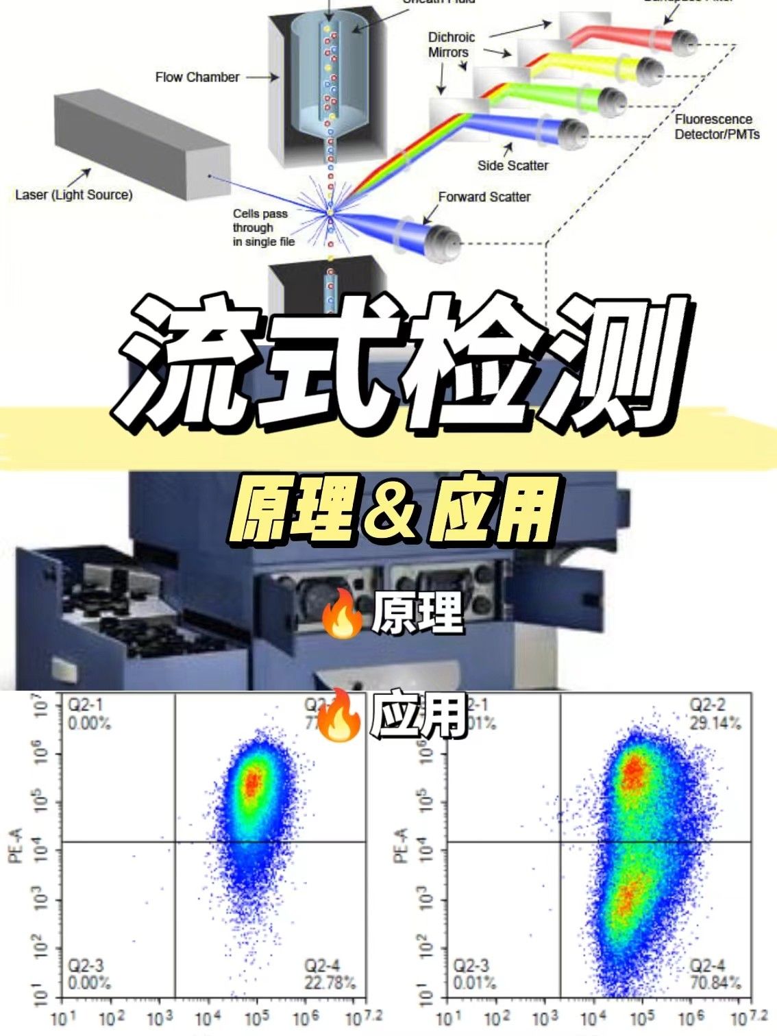 流式检测的原理以及应用