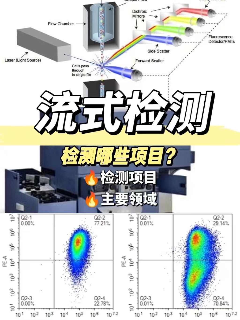 流式细胞检测那些项目？