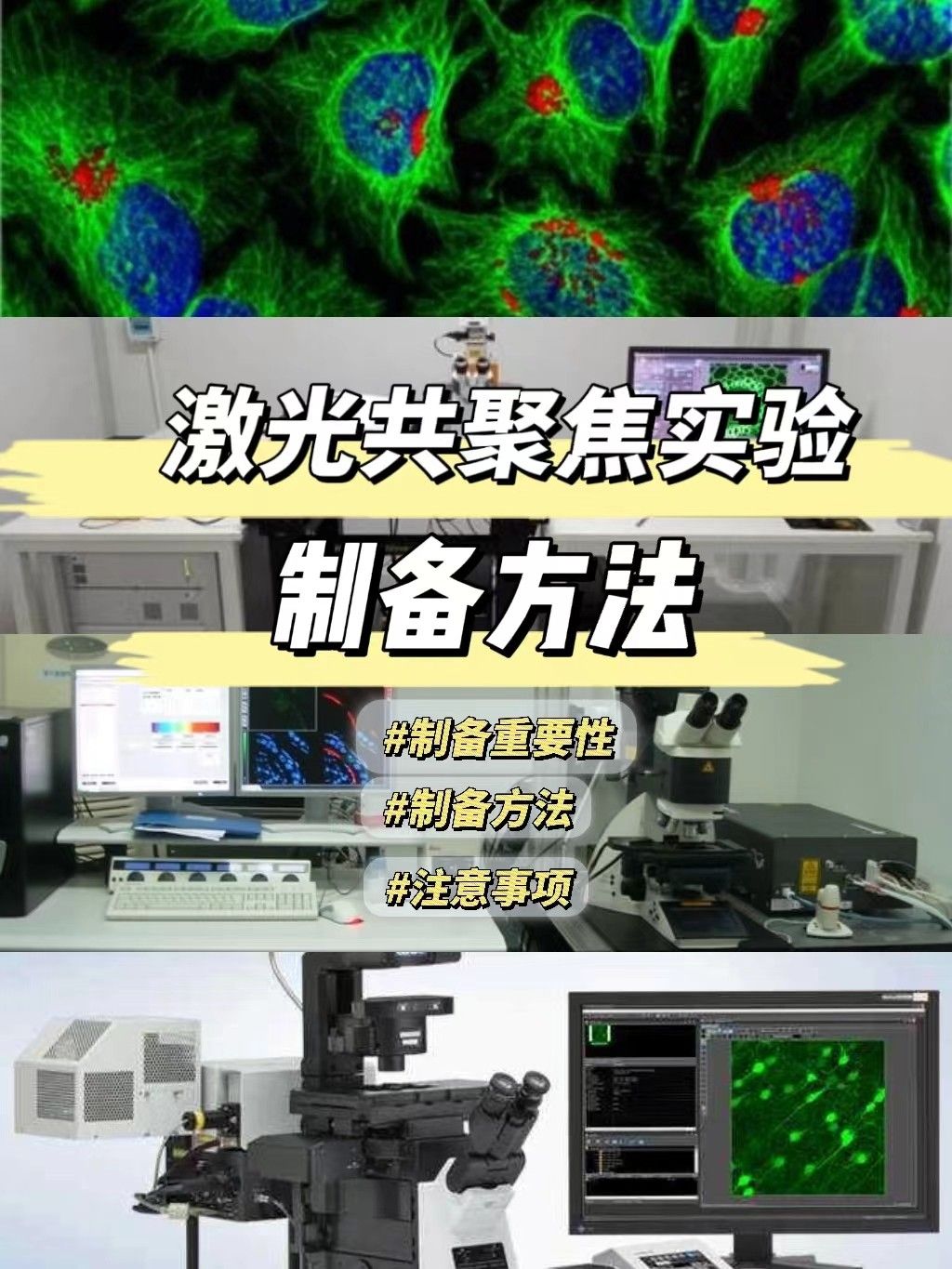 激光共聚焦样品制备方法