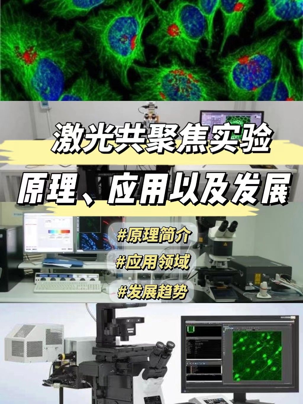 激光共聚焦实验原理、应用以及发展是什么？